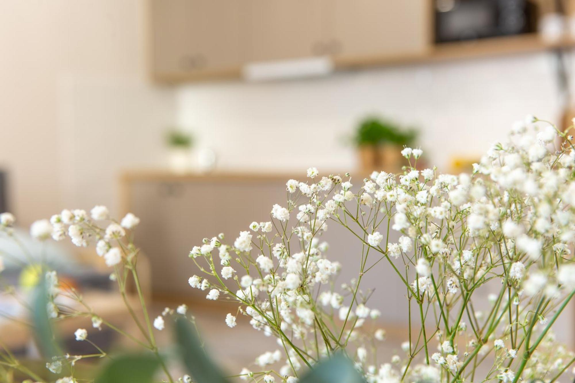Apartamenty Kdn Na Rysiej 卡托维兹 外观 照片